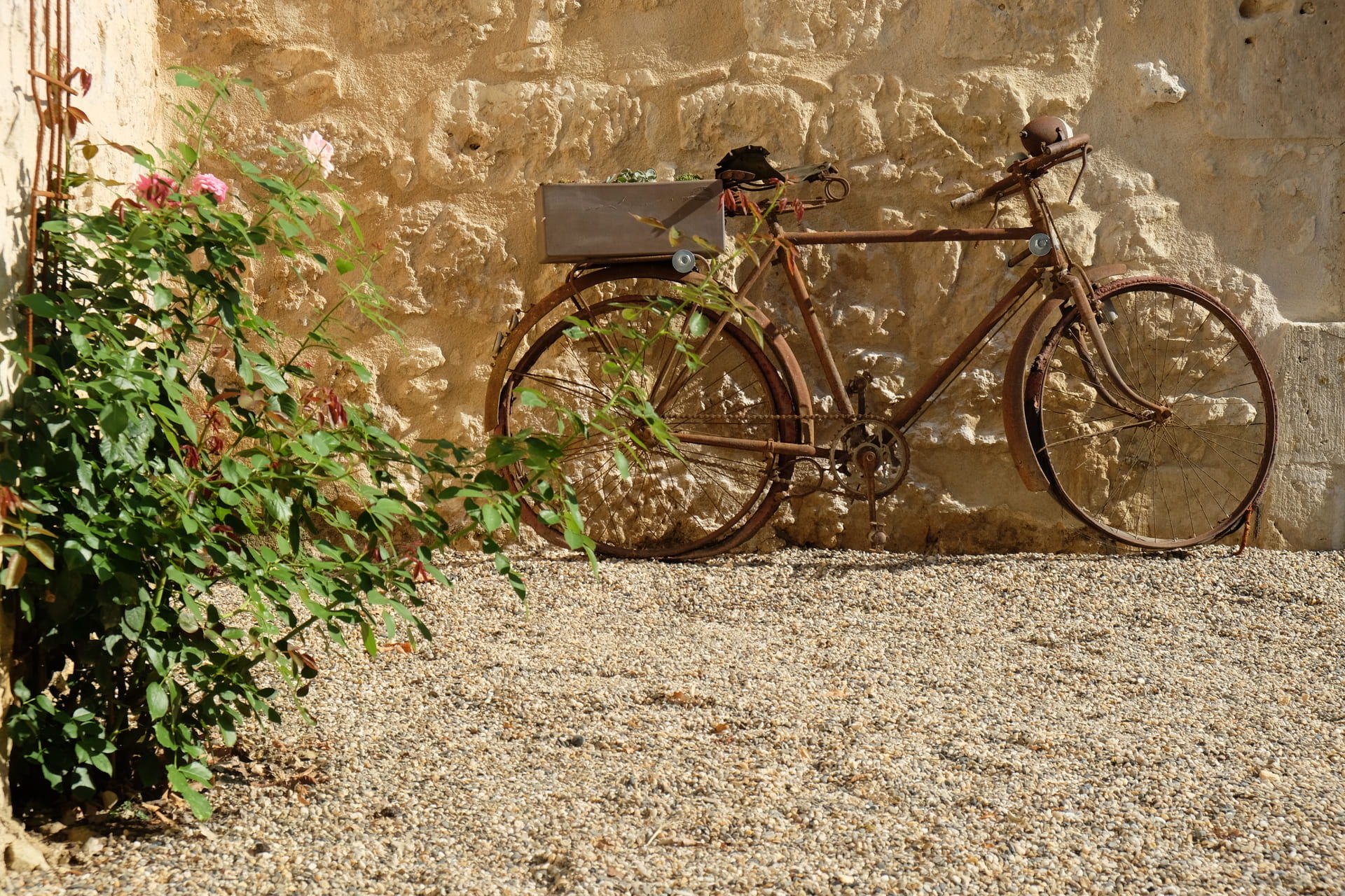 Velo